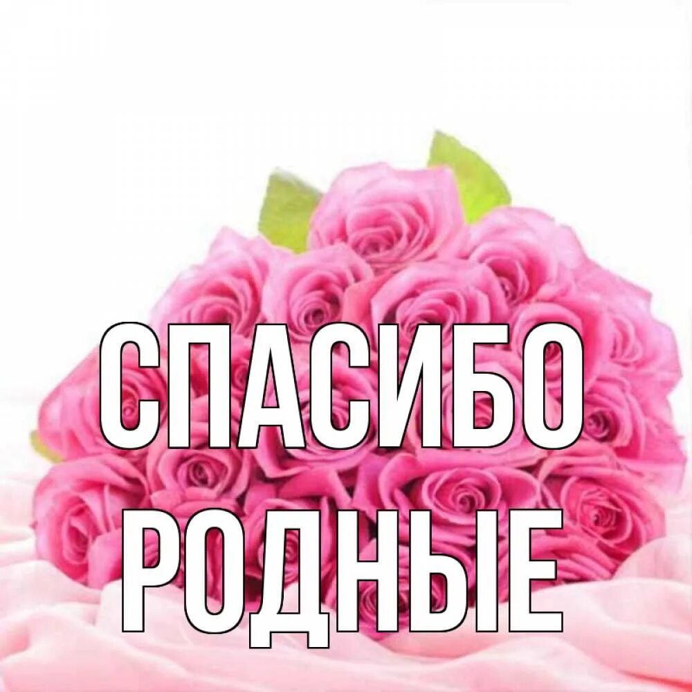 Минус песни спасибо родная. Спасибо родные. Спасибо Мои родные. Открытка спасибо родные. Спасибо большое родные.