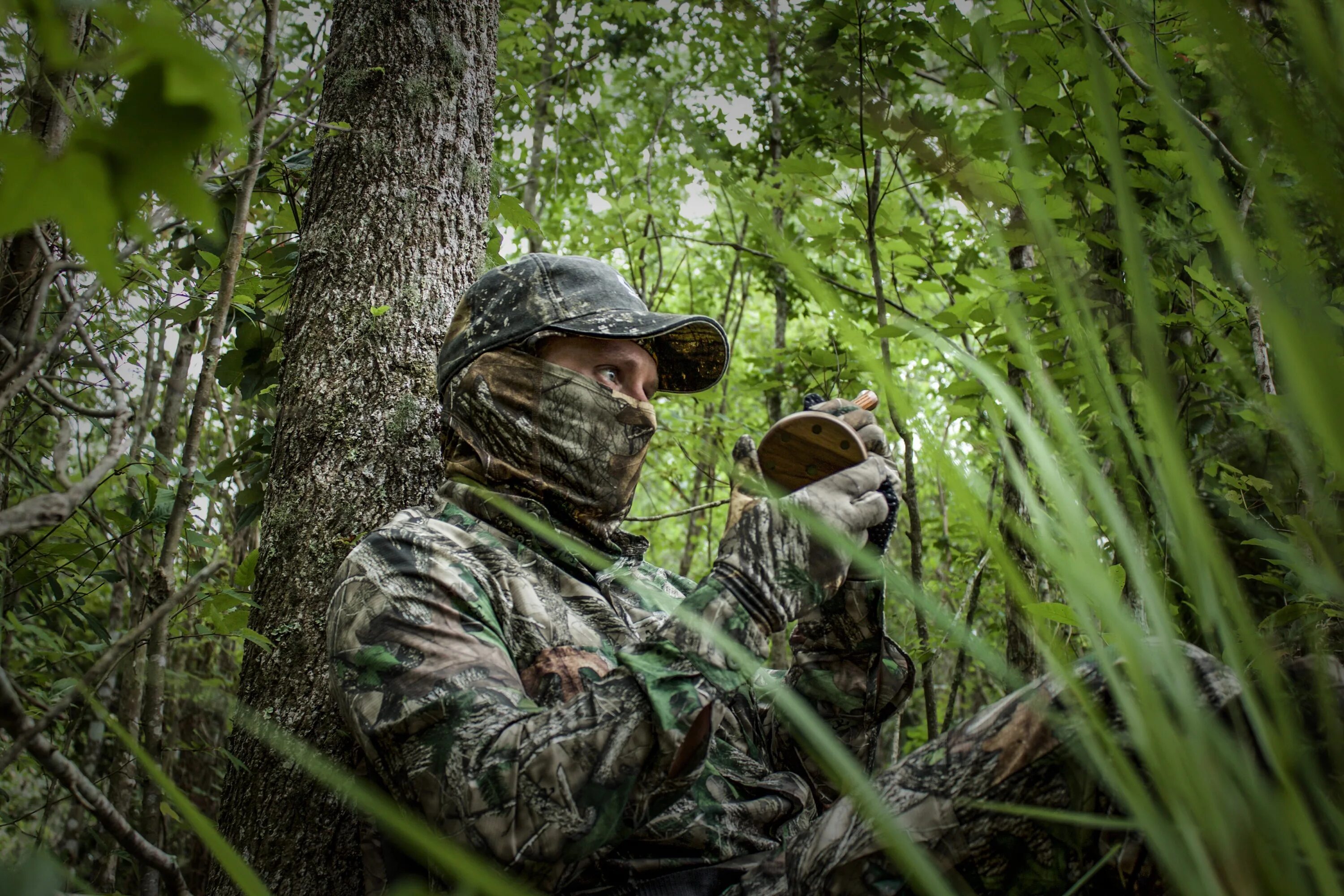 Spring hunting. Spring hunting