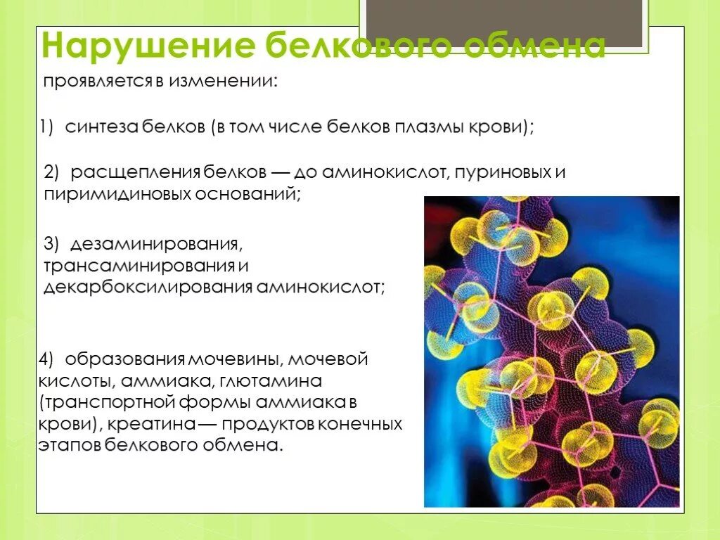 Изменение белка в крови