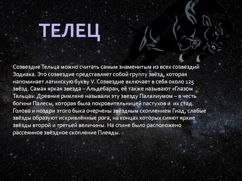 Телец 5 апреля. Звезды тельца. описание тельца. знак зодиака телец описание. созвездие телец.