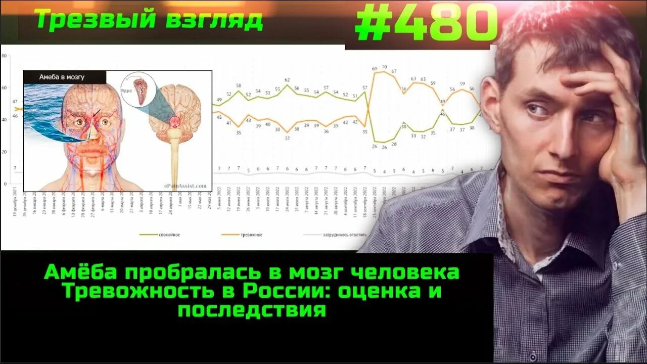 Амеба поедающая мозг озерная. Амеба неглерия фоулера. Амеба поедающая мозг озерная. Амеба пожирающая мозг человека. Амеба поедающая мозг озерная.
