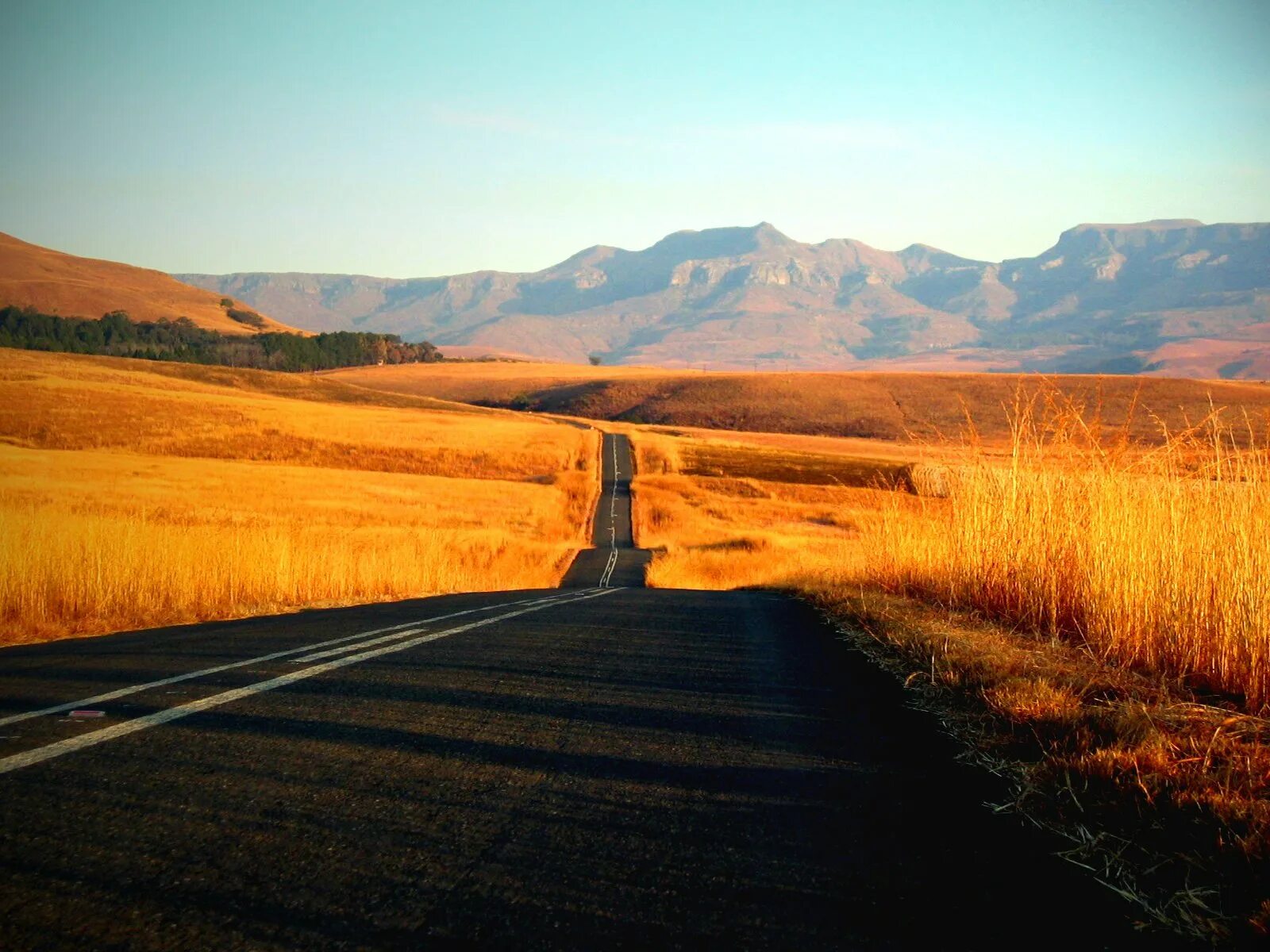 Path road way