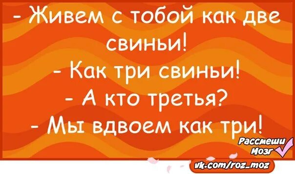 Вдвоем как то не то. Мы с тобой как три свиньи. мы с тобой вдвоем как три свиньи. мы живем как две свиньи как три.