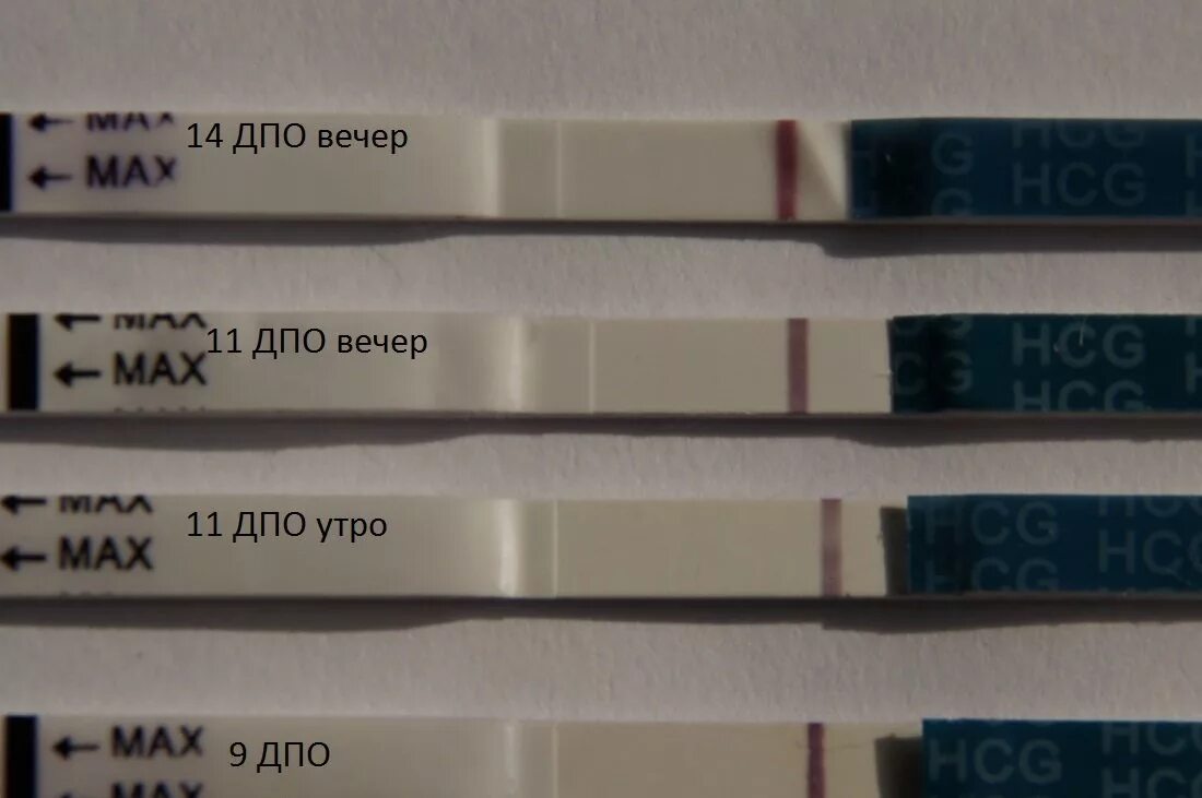 Тест это утро. 9 ДПО тест утро вечер. Тест 10 ДПО утро. 12 ДПО тест вечер. 9 ДПО вечер.
