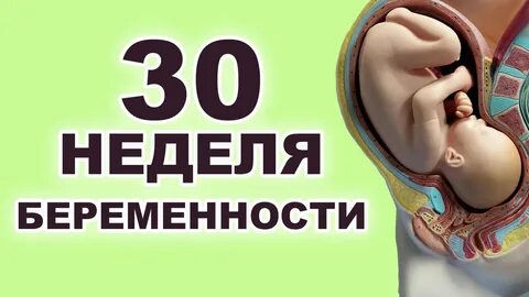 Сколько будет 19 недель беременности