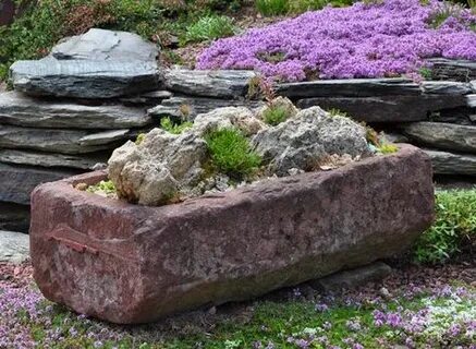 Rock planting