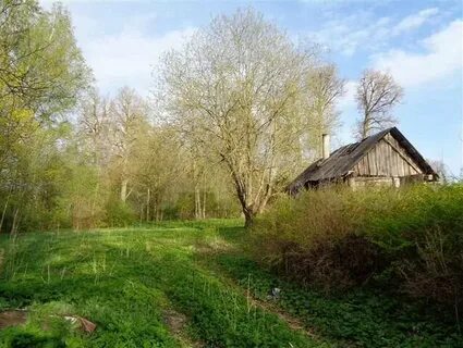 Батово сиверская