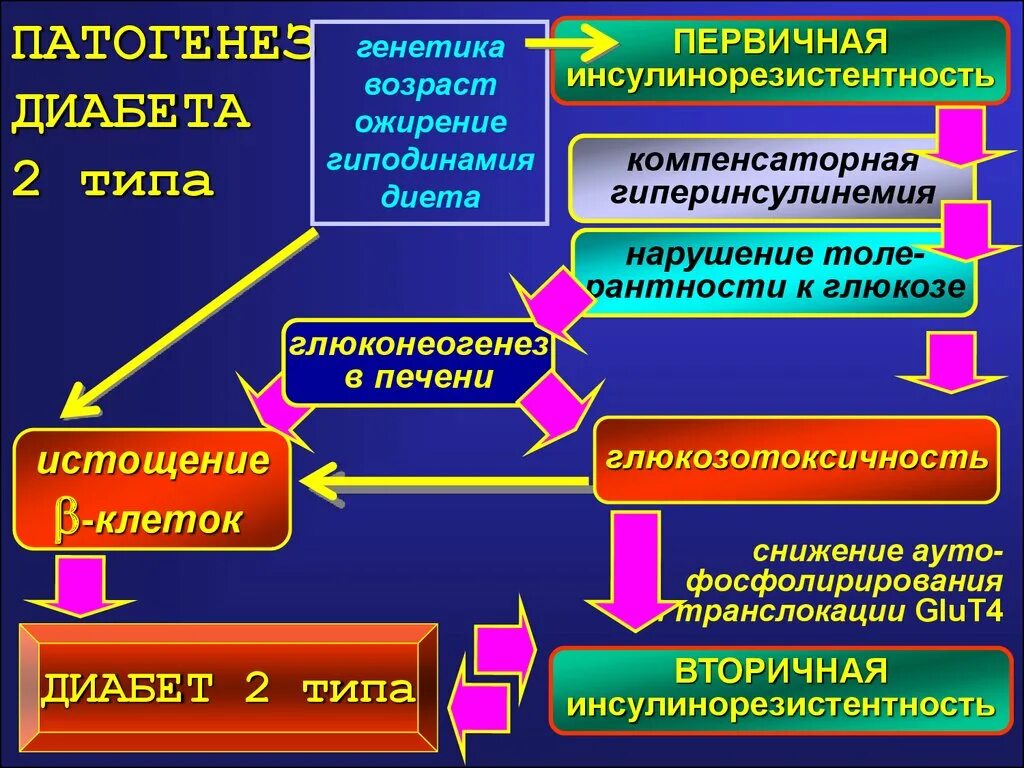 Механизм развития инсулинорезистентности при ожирении. Симптомы инсулин инсулинорезистентность. Причины развития инсулинорезистентности. Инсулинорезистентность патогенез инсулинорезистентности. Симптомы резистентности