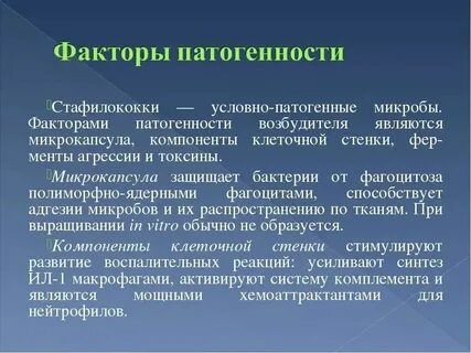 Процесс уничтожения патогенных микроорганизмов