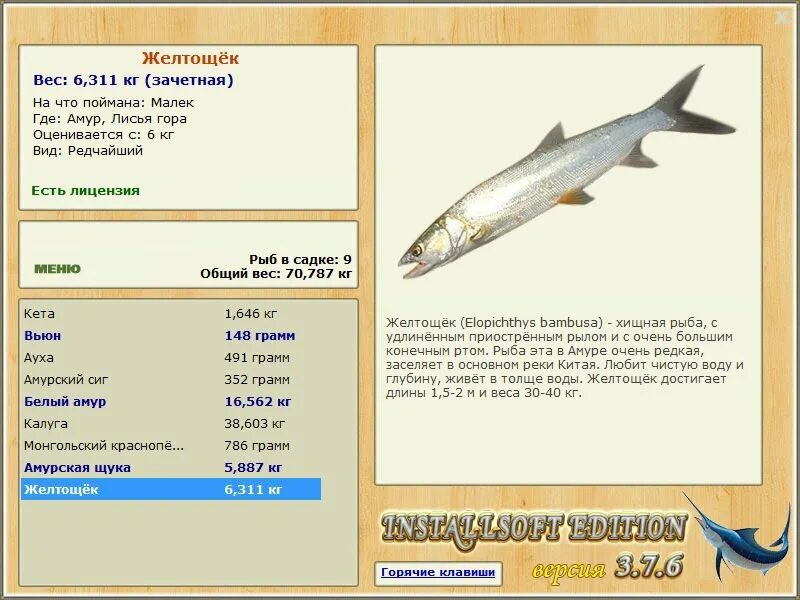 99 амурская щука. русская рыбалка 3 черный амур. желтощёк. желтощек рыба. русская рыбалка 3.