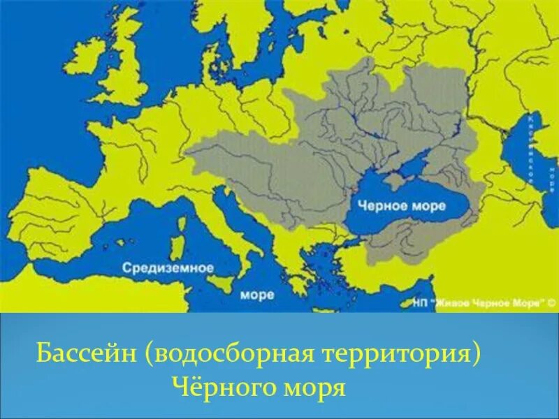 Дунай река бассейн какого океана. Черное море бассейн реки Дунай. Карта бассейна черного моря. Водосборный бассейн Средиземного моря. Реки бассейна Средиземного моря.