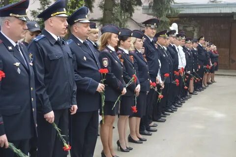 Умвд московской обл