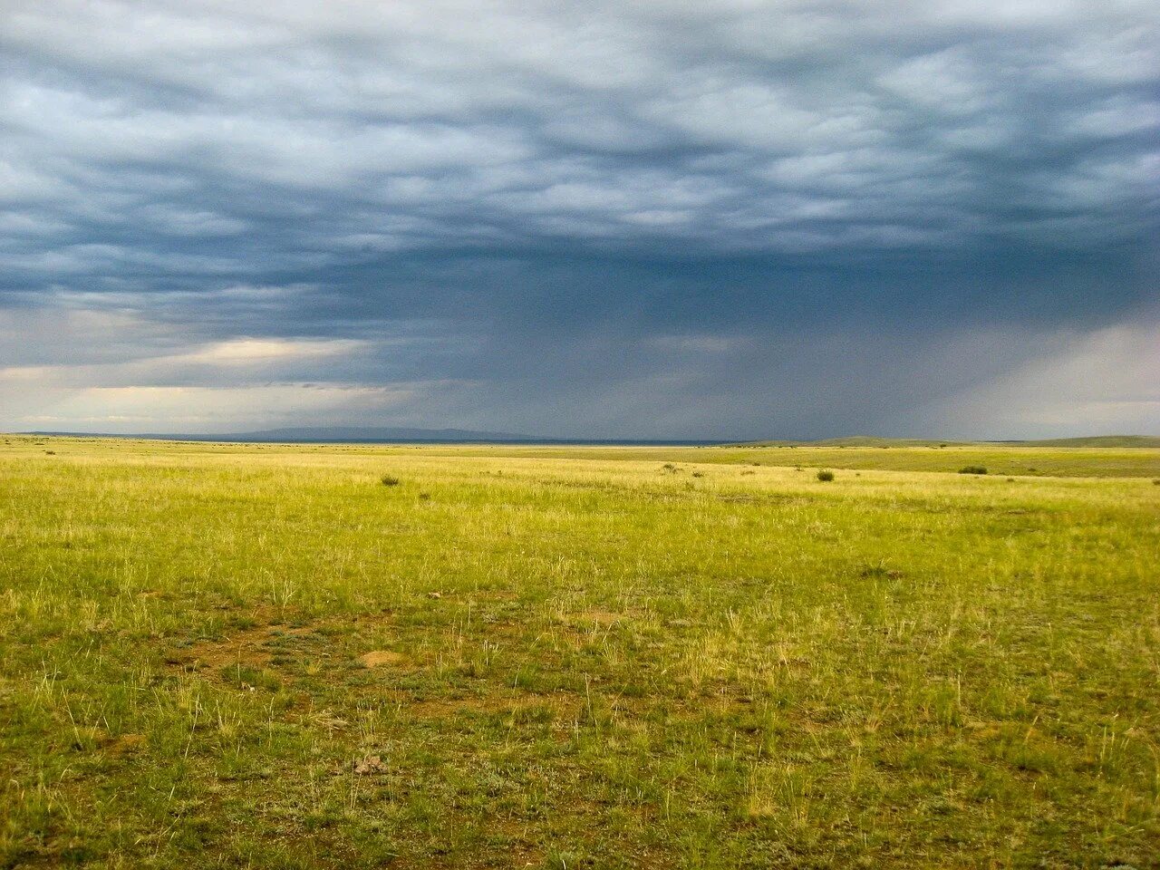 Какие дожди в степях