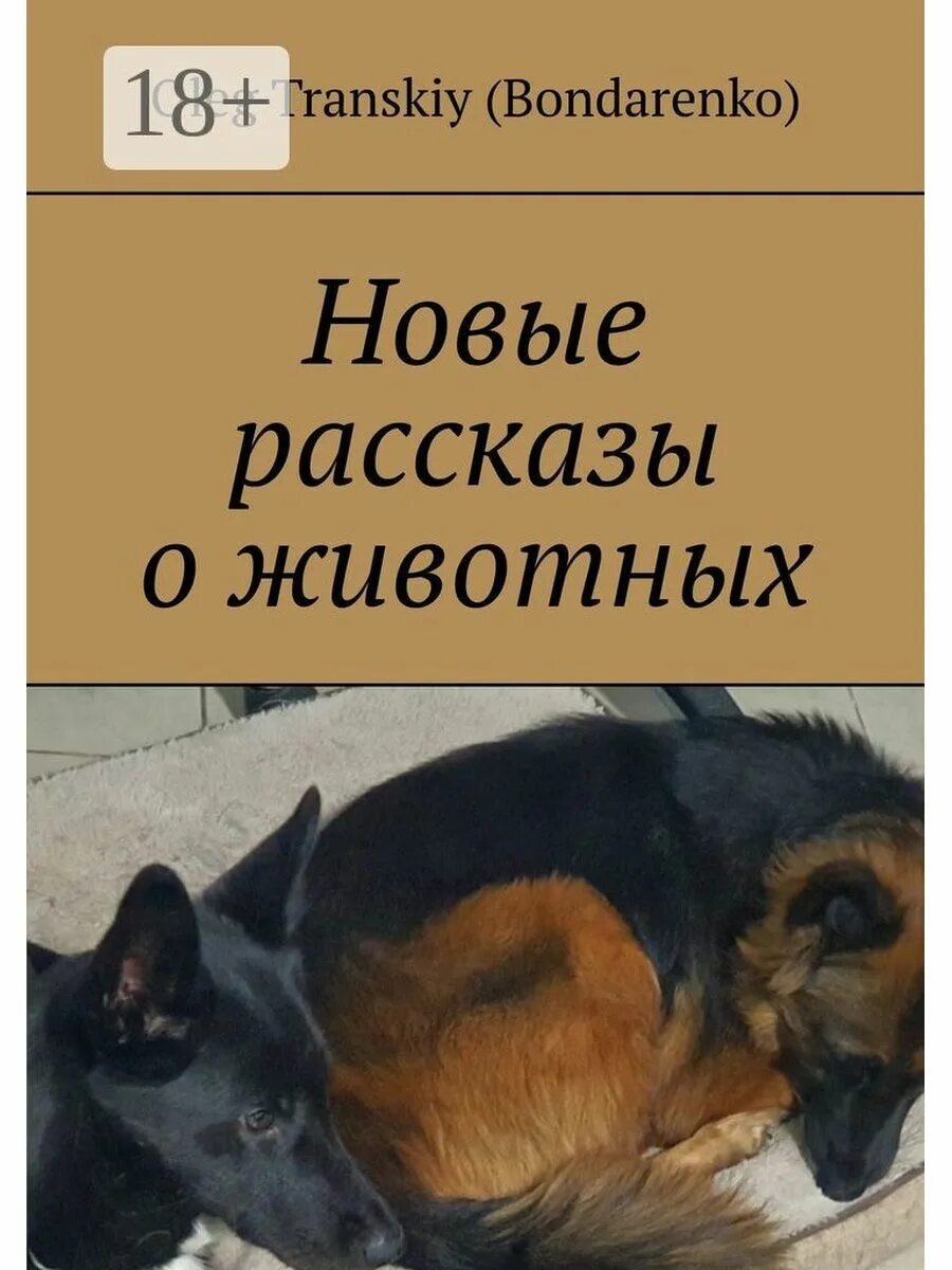 Рассказы бондаренко читать