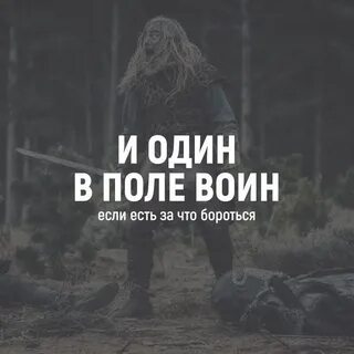 Один в поле воин bearwolf тест