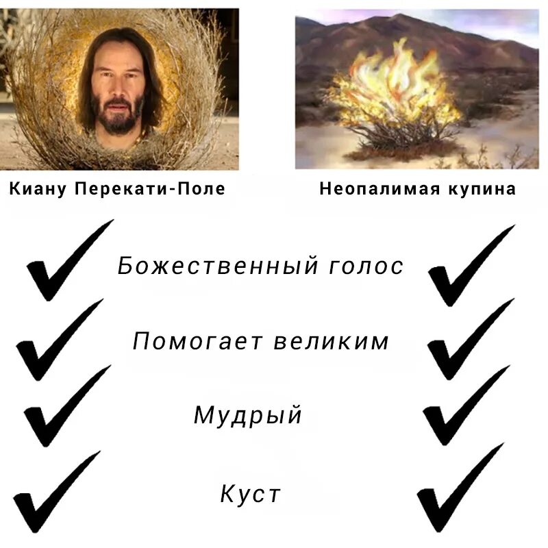 Его нет на потрясенном человеке 4 буквы