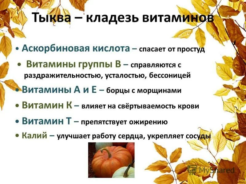 впр 4 класс русский. брошь тыква керамика. доклад о тыкве. впр тыква. предложение со словом стая.