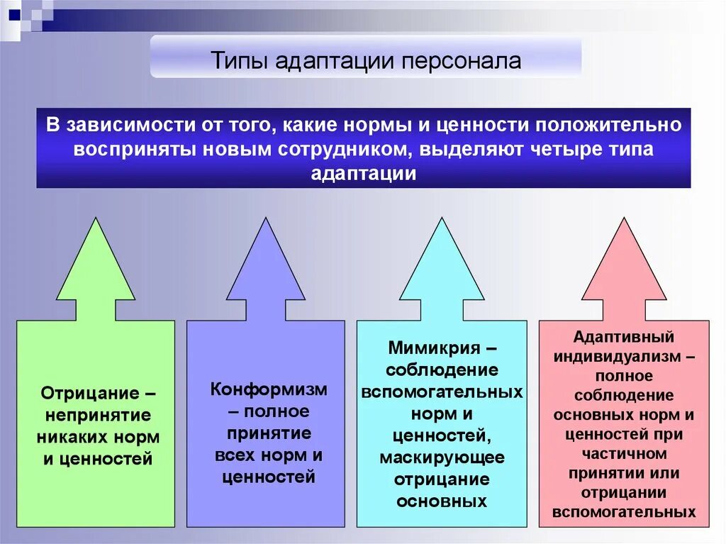 Виды адаптации персонала в организации. Виды адаптации работников в организации. Разновидности адаптации персонала. Формы адаптации персонала.