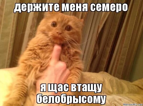 пацан со спанч бобом. не держите зла держите шарики. держите меня семеро мем. картинка держите меня семеро. не выдержал 18.