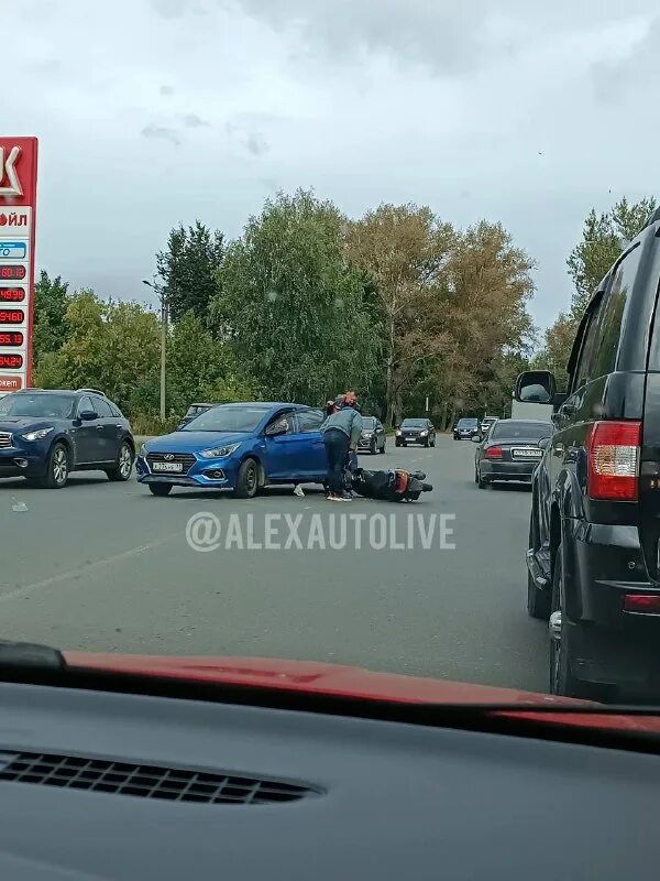 Алексавтолайф. Алексавтолайф