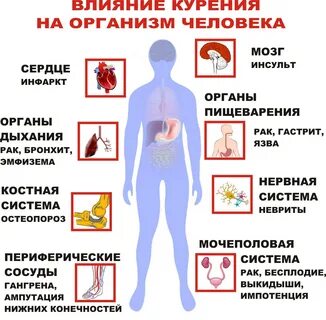 Курение пагубное влияние