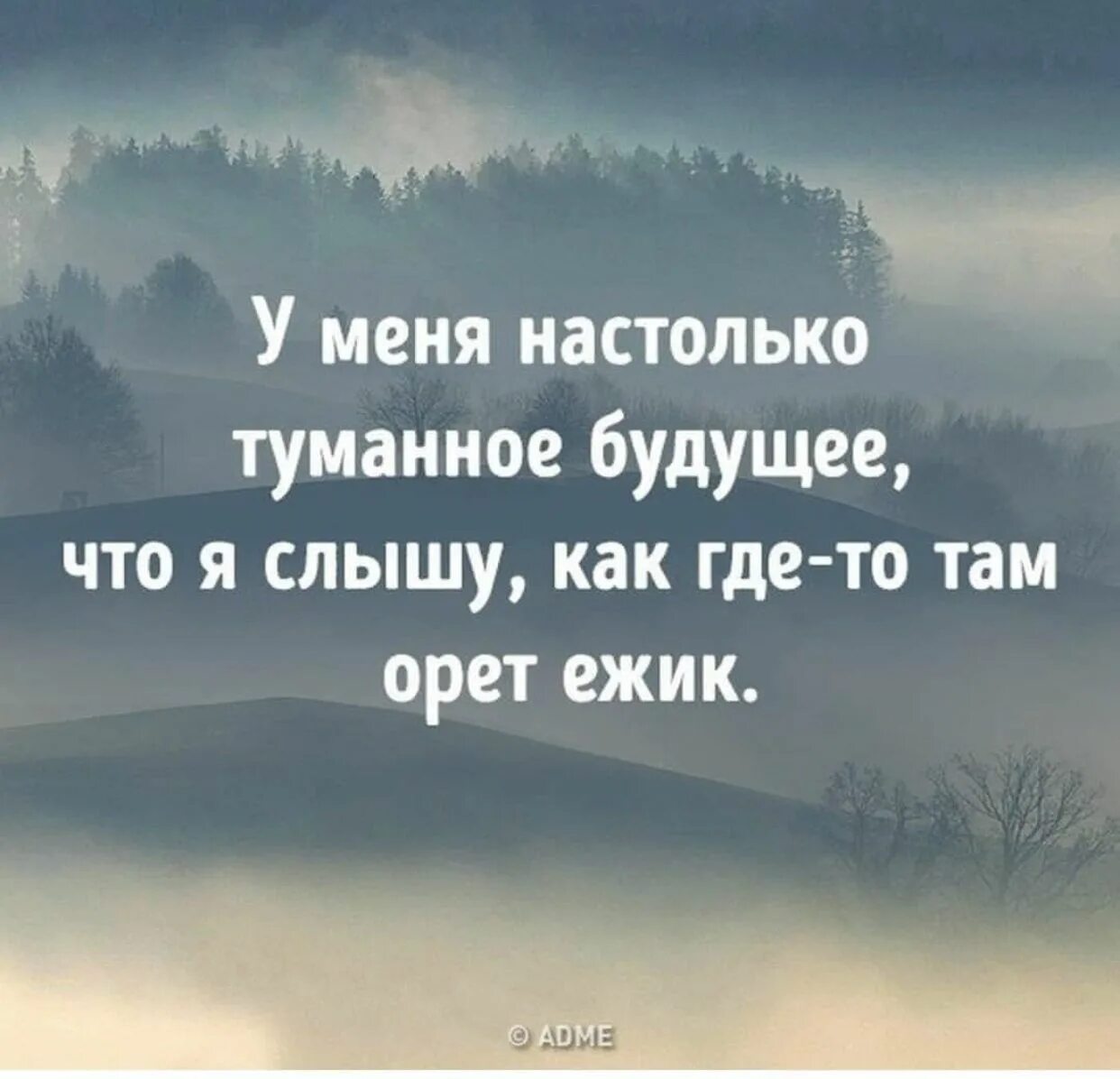 Там закричать. У меня настолько туманное будущее что я слышу как где-то там орёт Ёжик. У меня настолько туманное будущее. Будущее туманно Мем. Моё будущее настолько туманно что слышится.