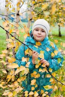 Береза мальчик