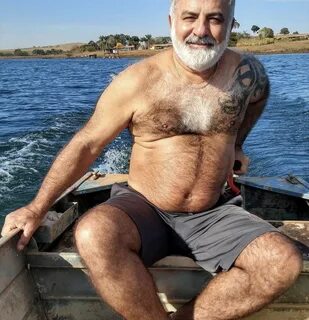 Turk daddy - Telegraph 