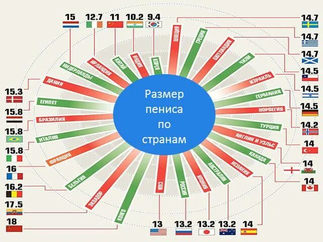 Размер половового органа. Статистика размеров мужских достоинств. размер пениса по странам. размер члена в разных странах. средний размер члена по странам.