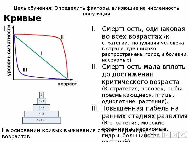 Факторы влияния на популяцию. Экологические стратегии популяций. Стратегии выживания популяций. Кривые выживания и кривые роста популяции. Стратегии выживания популяций r и к.