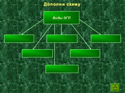 Виды экономико географического положения