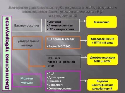 Лабораторная диагностика туберкулеза