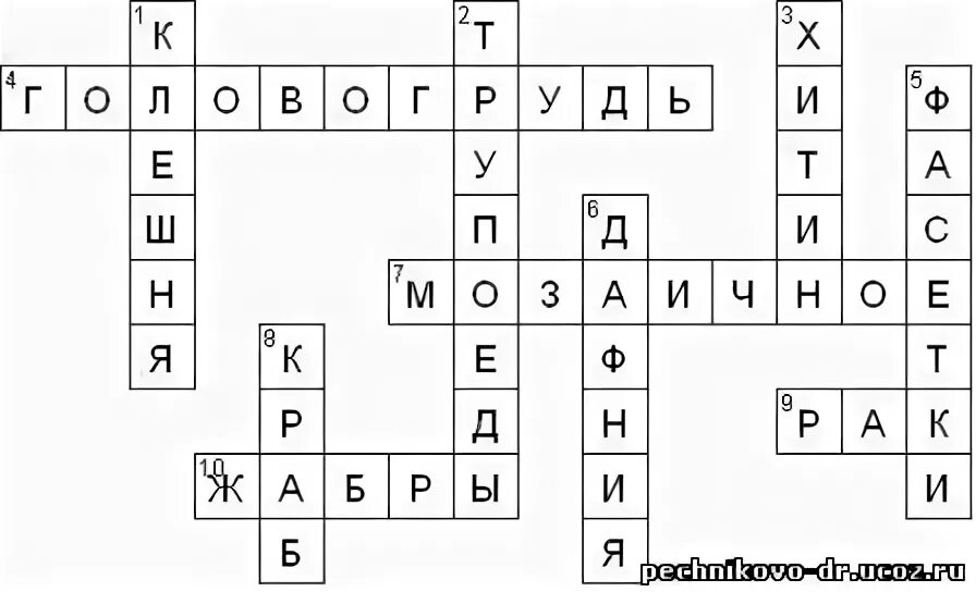 Ракообразные кроссворд 7 класс. Кроссворд на тему моллюски. кроссворд по биологии 7 класс. кроссворд ракообразные. кроссворд на тему ракообразные.