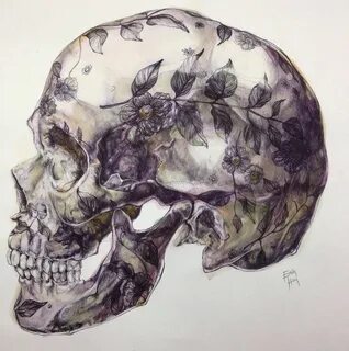 Череп ли