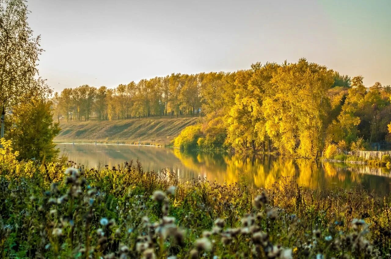 Река Лысьва. Река Лысьва Пермский край. Лысьва природа. Берега реки Лысьва.