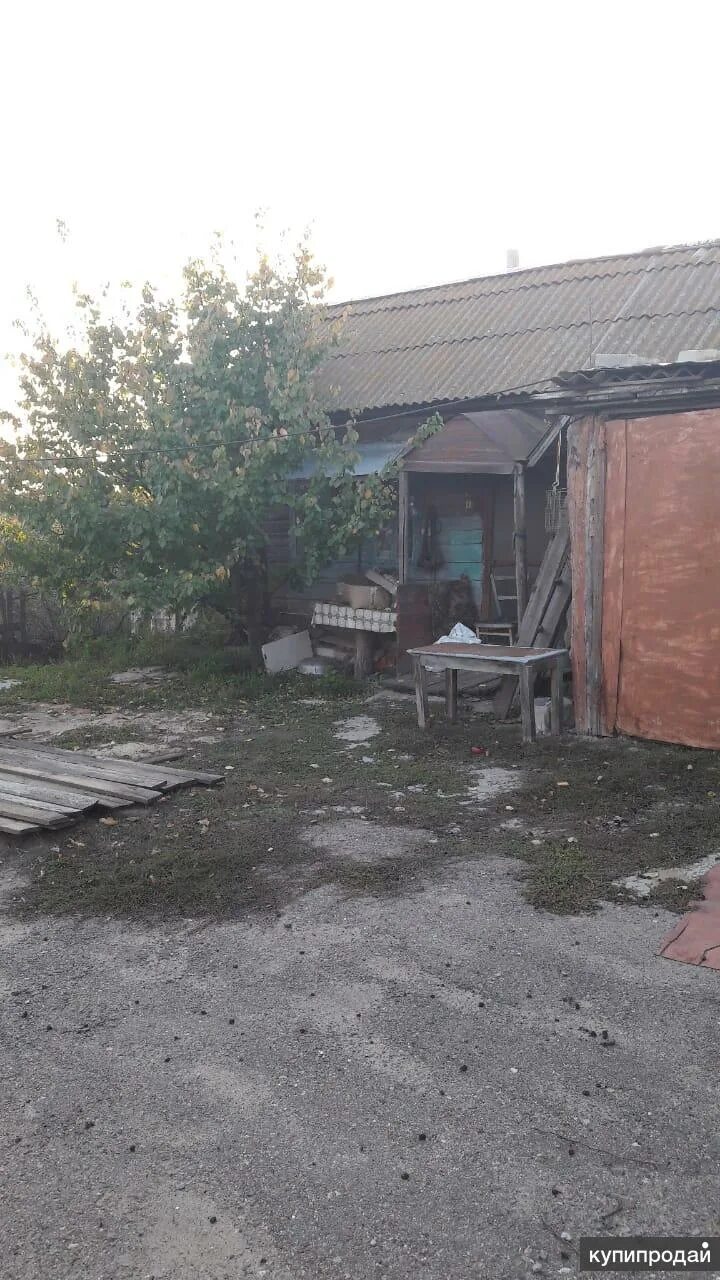 Кпп знаменск астраханская область. Погода кап яр астраханской. Кап яр астраханская область. Рыбалка в астрахани. Кап яр астраханская область.