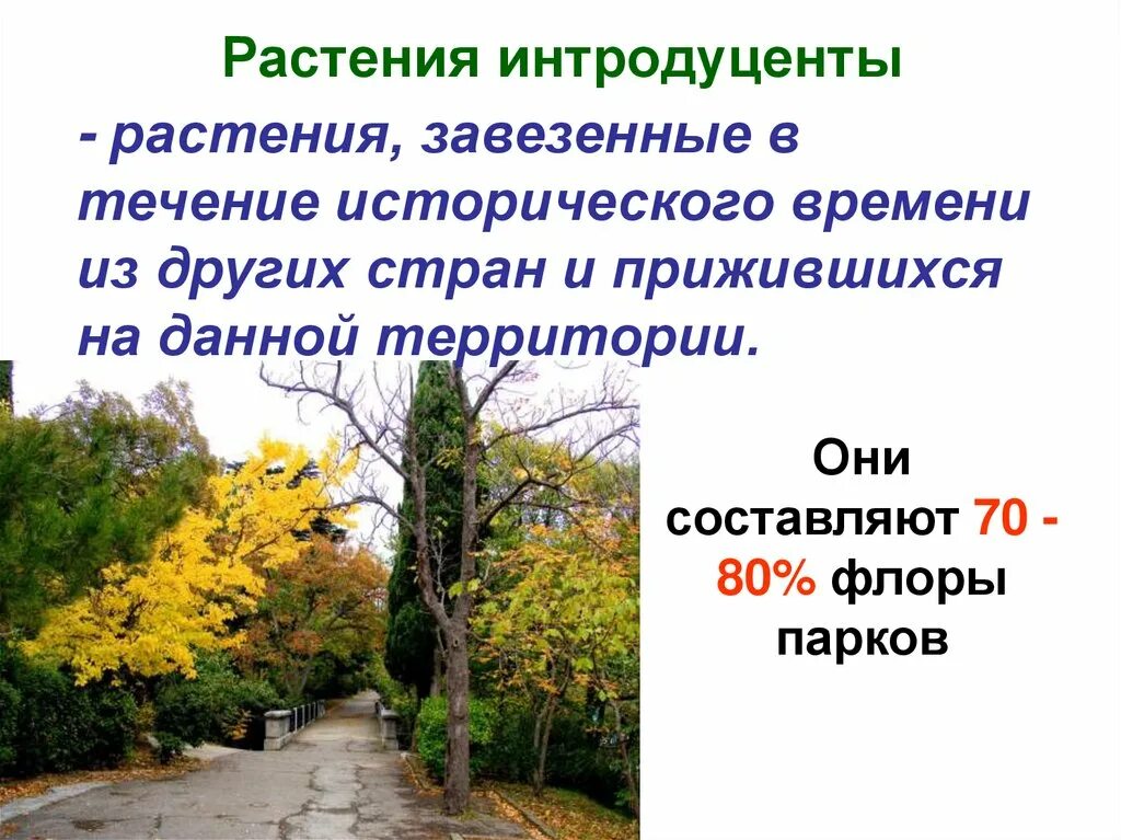 Интродуценты это. Растения интродуценты. деревья интродуценты. виды-интродуценты. интродукция древесных растений.