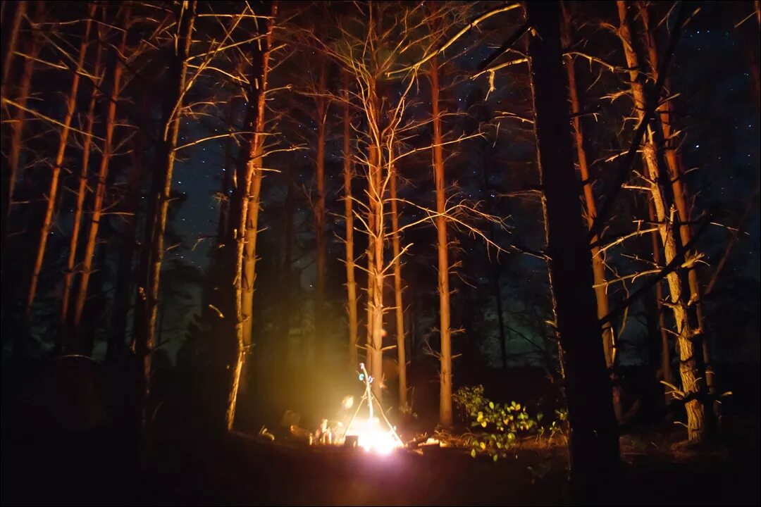 Ночью в лесу 3 класс. «Ночь в лесу». Ночной лес. Ночной костер в лесу. Лес вечером.