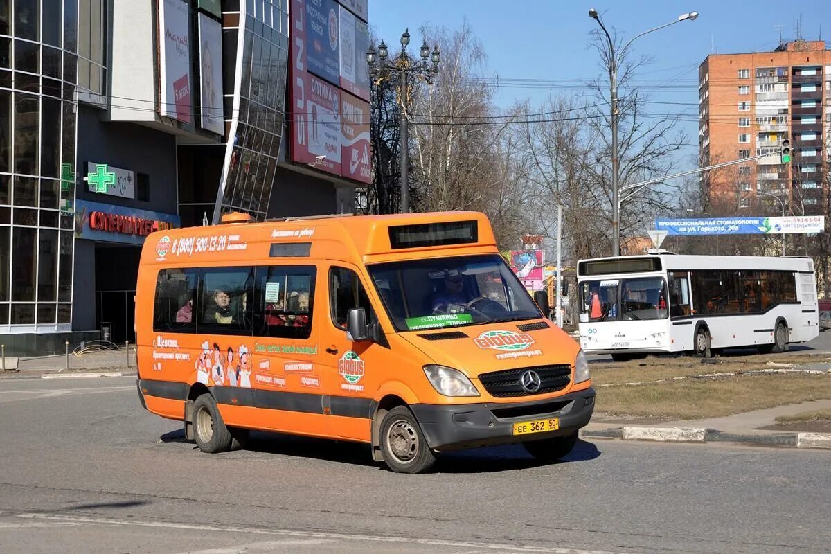 Автобус Глобус Пушкино. Пушкино автостанция-Глобус. Станция Пушкино Глобус. Автобус до гипермаркета Глобус.