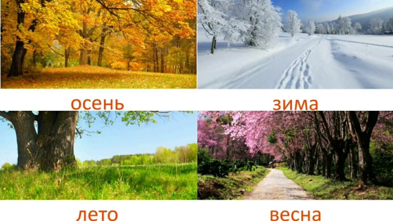 Climate seasons. Картинка 4 времени года. Времена года иллюстрации.