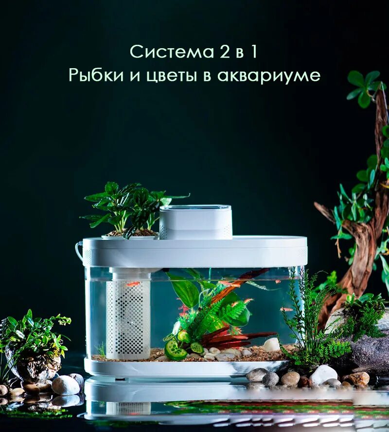 акваферма xiaomi geometry fish tank aquaponics ecosystem c180 standart. аквариум xiaomi descriptive geometry c180 smart fish tank pro. аквариум ксиоми акваферма. аквариум xiaomi geometry fish tank. аква-ферма xiaomi descriptive geometry mini lazy fish tank (hf-jhyg005).