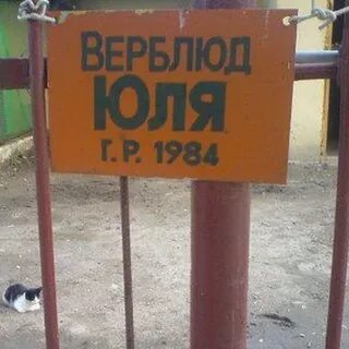 Приколы про юлию