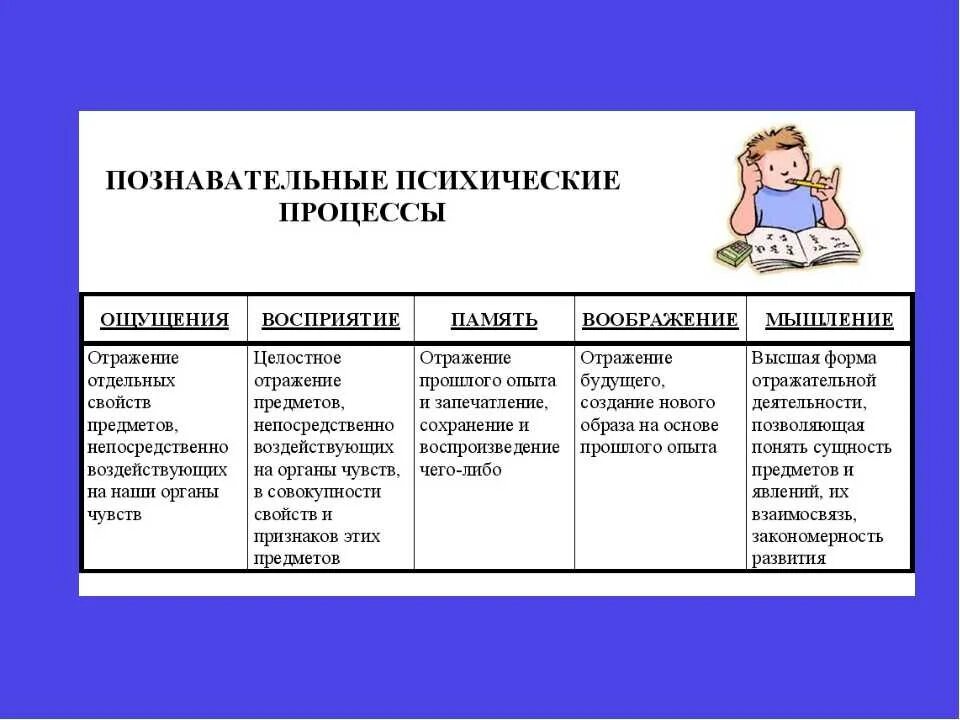 Ощущения память мышление воображение восприятие. Познавательные процессы схема. Психические процессы таблица. Познавательные процессы таблица. Психические процессы младших школьников.