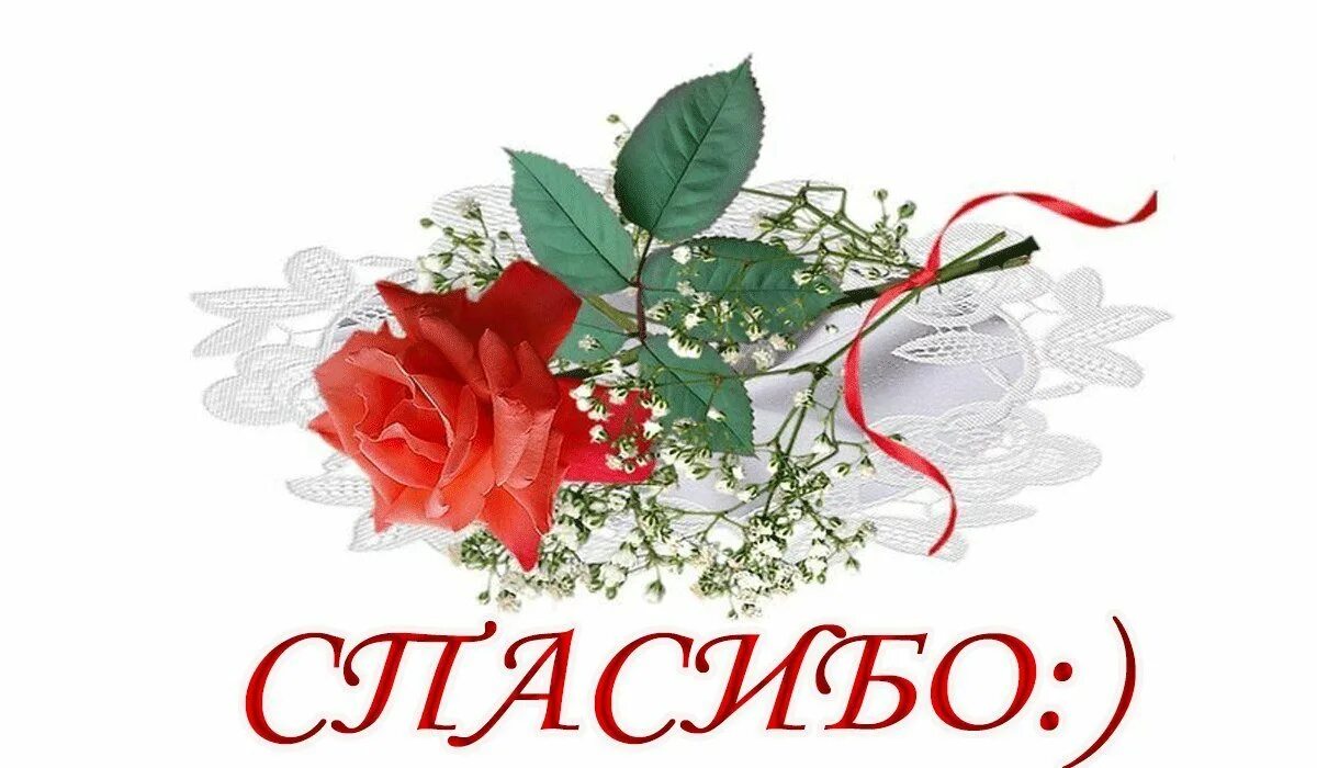 Стикеры благодарности. Спасибо надпись красивая. Открытки спасибо большое. Надпись спасибо красиво. Спасибо картинки с надписями.