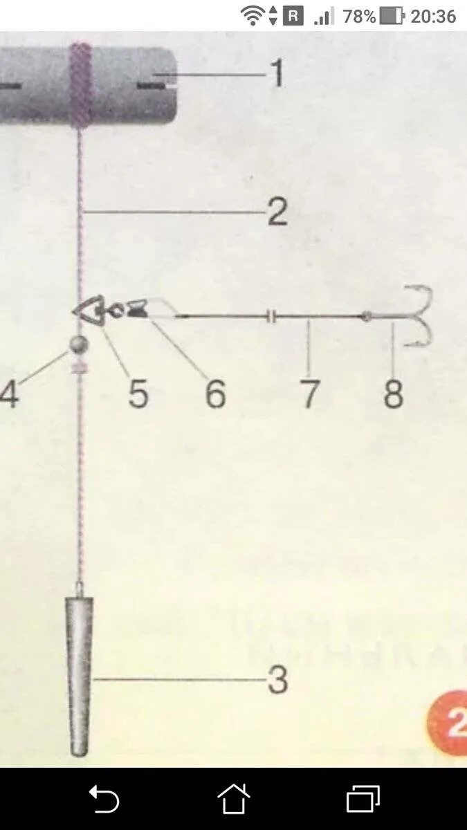 Оснащение жерлицы на судака на тюльку. Ловля судака зимой на поставушки. Поставушки на щуку летом на течении. Зимняя ловля судака на жерлицы зимой. Снасть живцовая летняя.