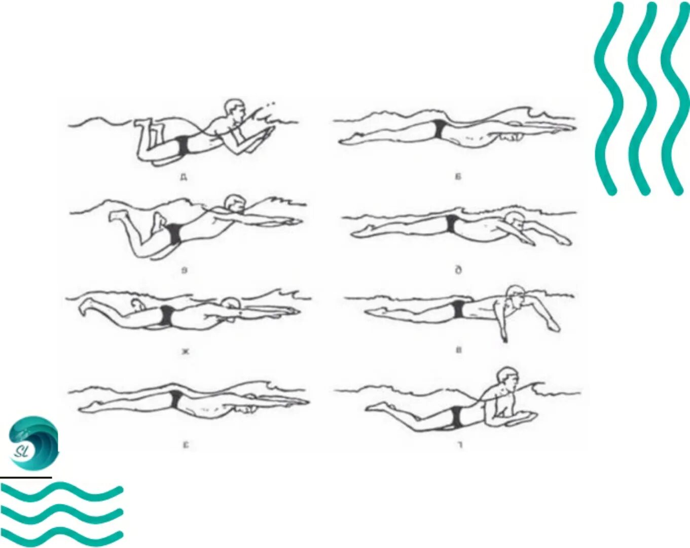 Плыть не уставая. Брасс стиль плавания брасс. Схема плавания брассом. Стиль плавания брасс техника. Кроль брасс Баттерфляй.
