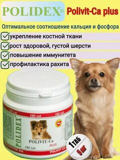 Поливит