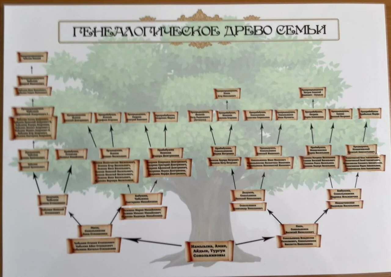 Конкурс генеалогическое древо. Родословная генеалогическое Древо Шежере. Генетическое Древо Пушкина. Синицын родословная Древо.