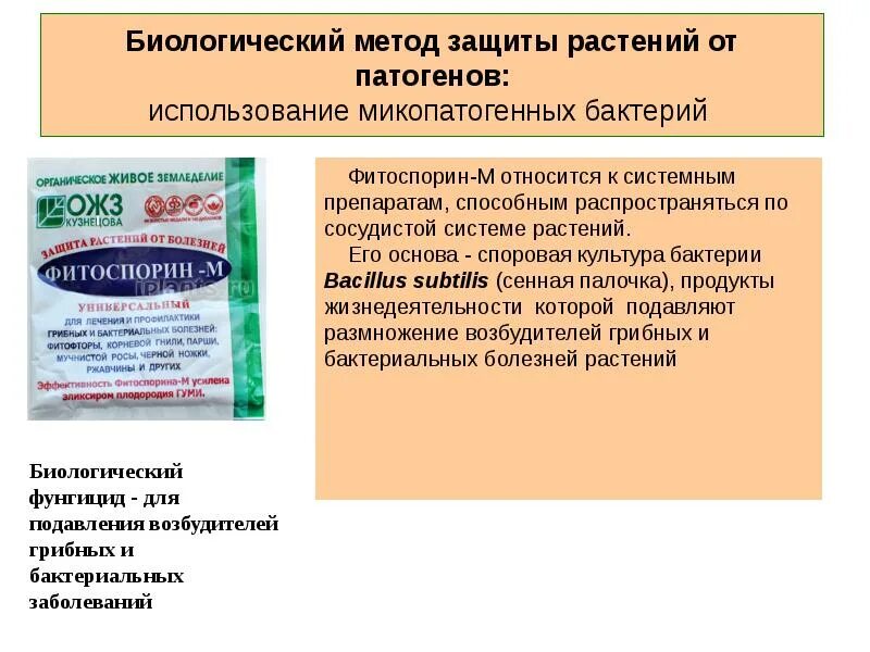 Биопрепараты для борьбы с вредителями растений. Биологическая защита растений от болезней. Биопрепарат от гусениц. Биопрепараты для сада и огорода. Биологические способы защиты растений.