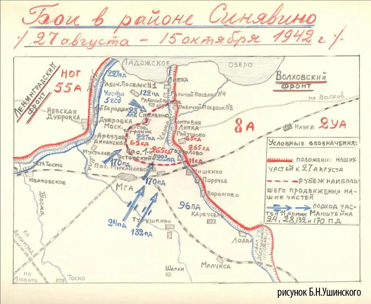 Приложения. Битва за Синявинские высоты Мгинская дуга 1941-1942 гг.